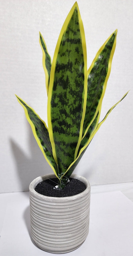 ARTIFICIAL SNAKE PLANT Love beautiful plants but too busy to water them? Enjoy the beauty of greenery without any of the hassle of care with this Artificial Snake Plant in a cute white pot. Gorgeous when displayed solo or as part of an arrangement with other ornaments. Place it in your living room, kitchen, bathroom or any other space for an eye-catching addition you'll love.