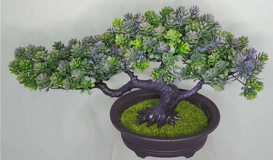 BONSAI TREE - JAPANESE JUNIPER by Dilzzy