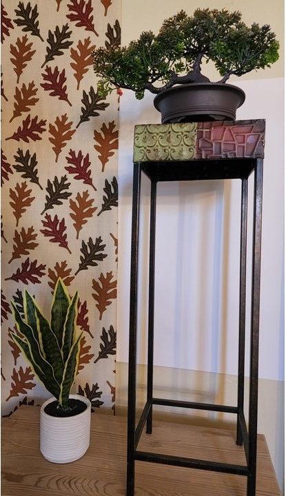 BONSAI & SNAKE PLANT by Dilzzy