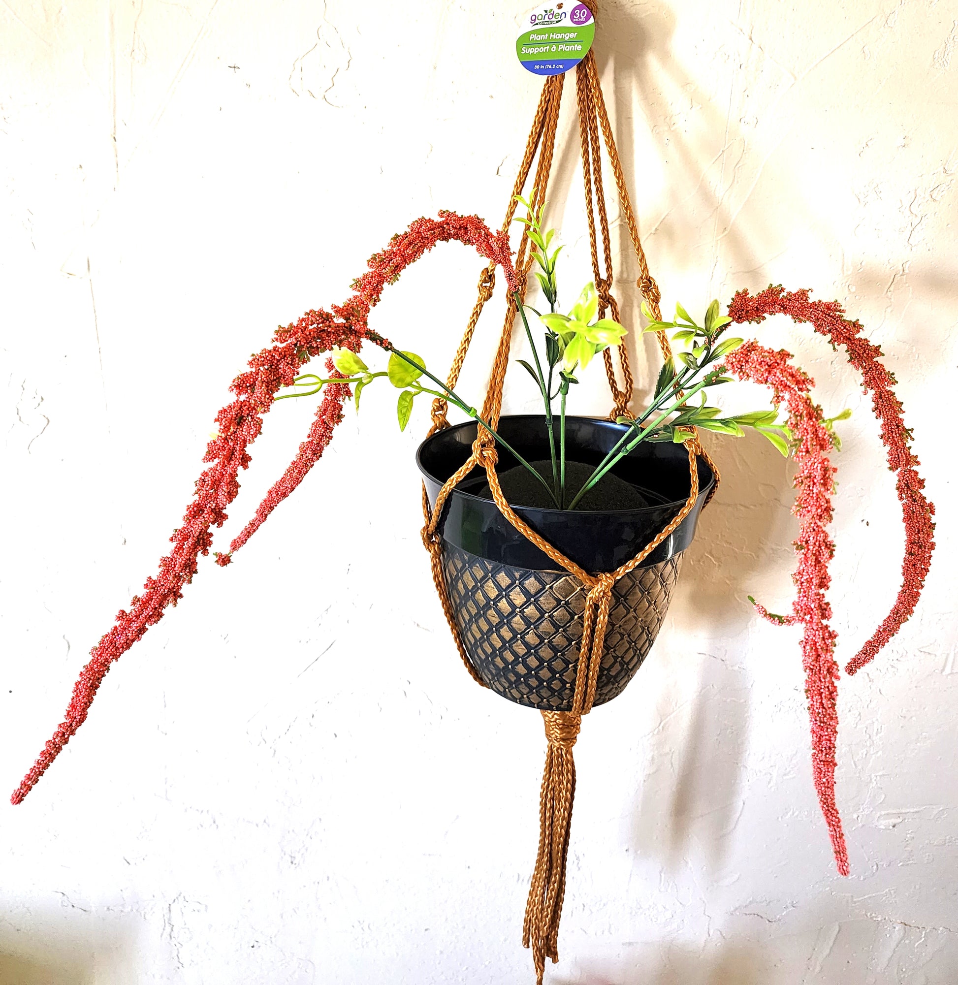 HOME OFFICE DECOR - HANGING AMARANTHUS FLOWER by Dilzzy.com