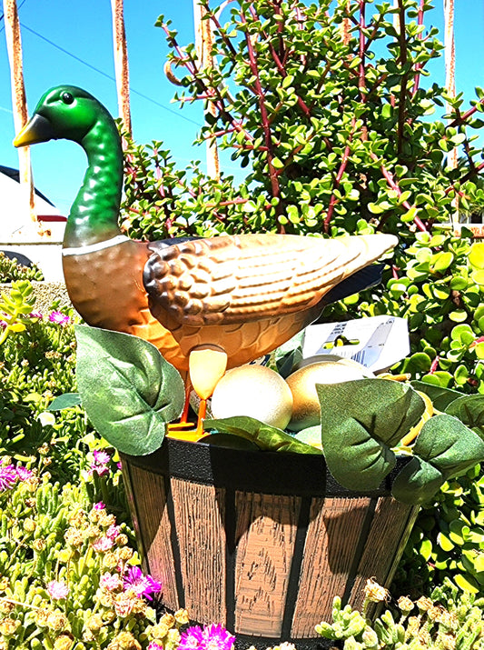 OUTDOOR DUCK DECOR by Dilzzy