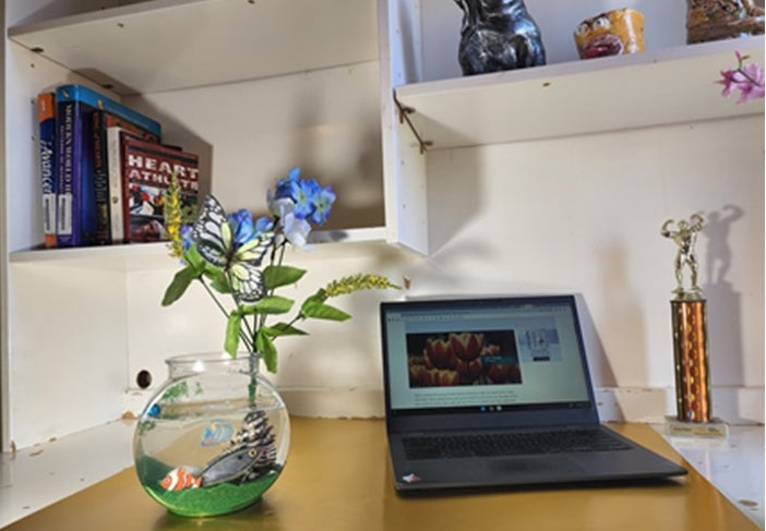 OFFICE DECOR FISH AQUARIUM by Dilzzy.com
